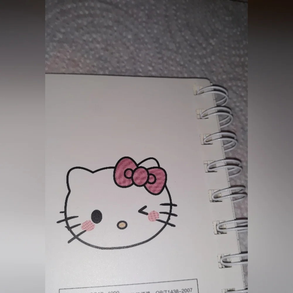 HELLO KITTY Spiral Notebook Adult Kids NEW